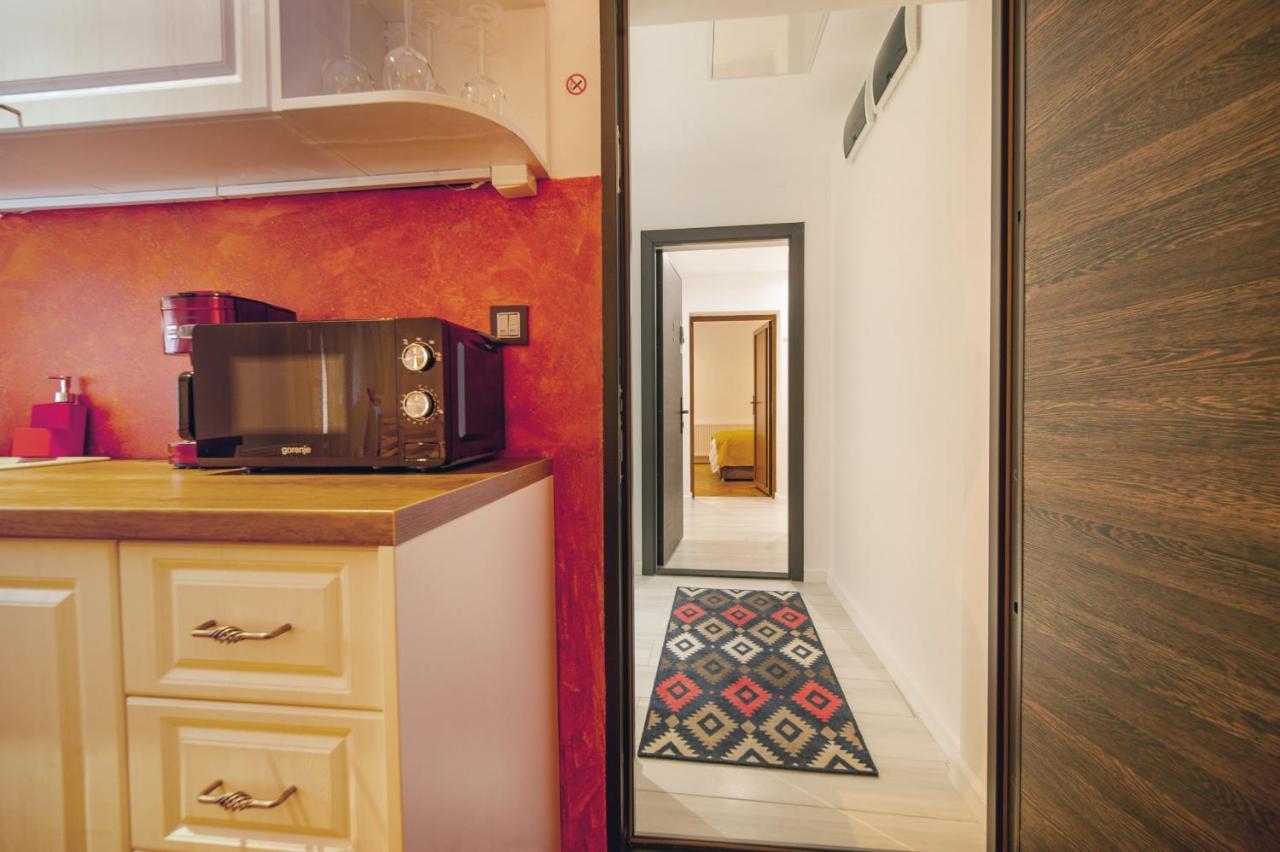 Elk Apartment Brasov